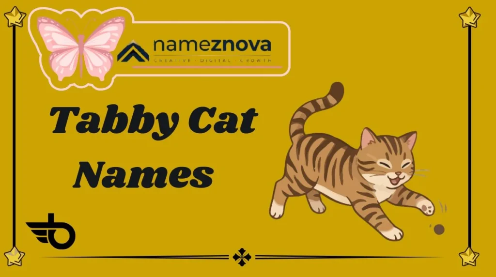 Tabby Cat Names