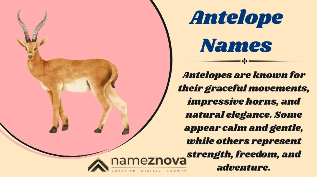 Antelope Names