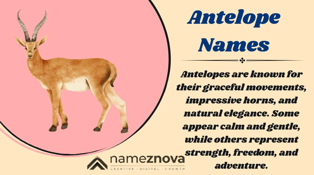 Antelope Names
