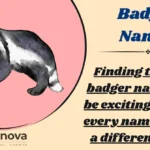 Badger Names