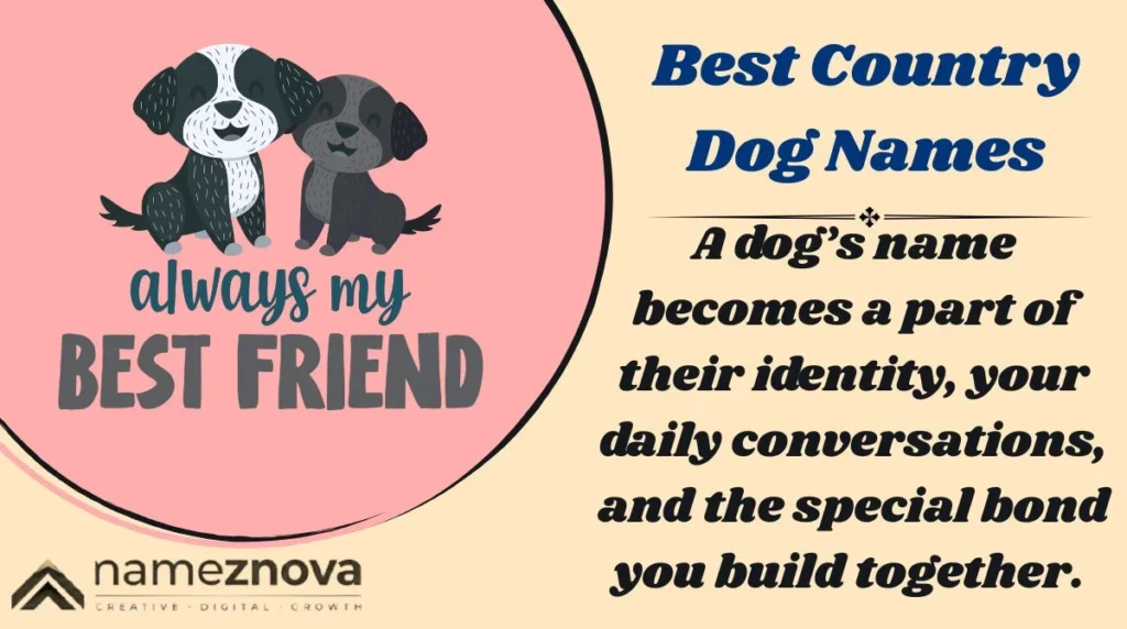 Best Country Dog Names