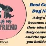 Best Country Dog Names