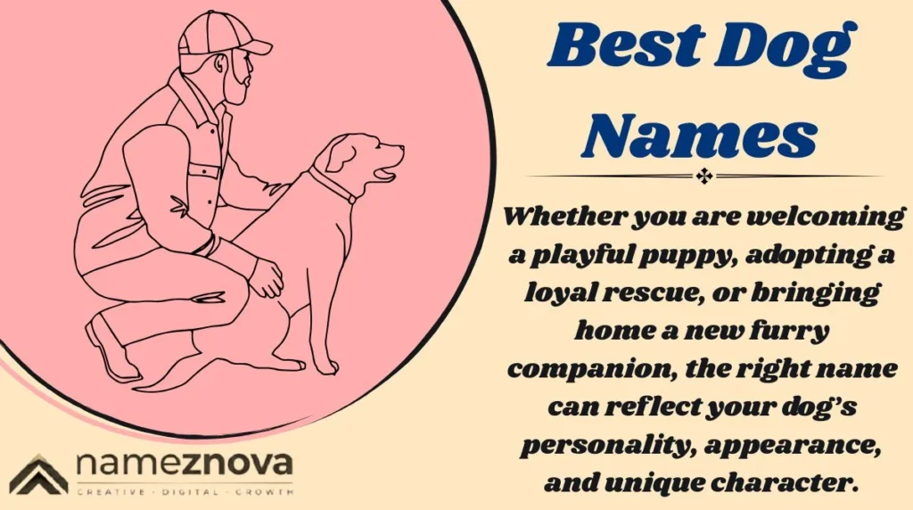 Best Dog Names