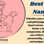 Best Dog Names