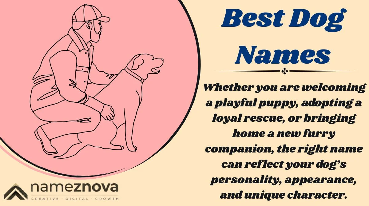 Best Dog Names