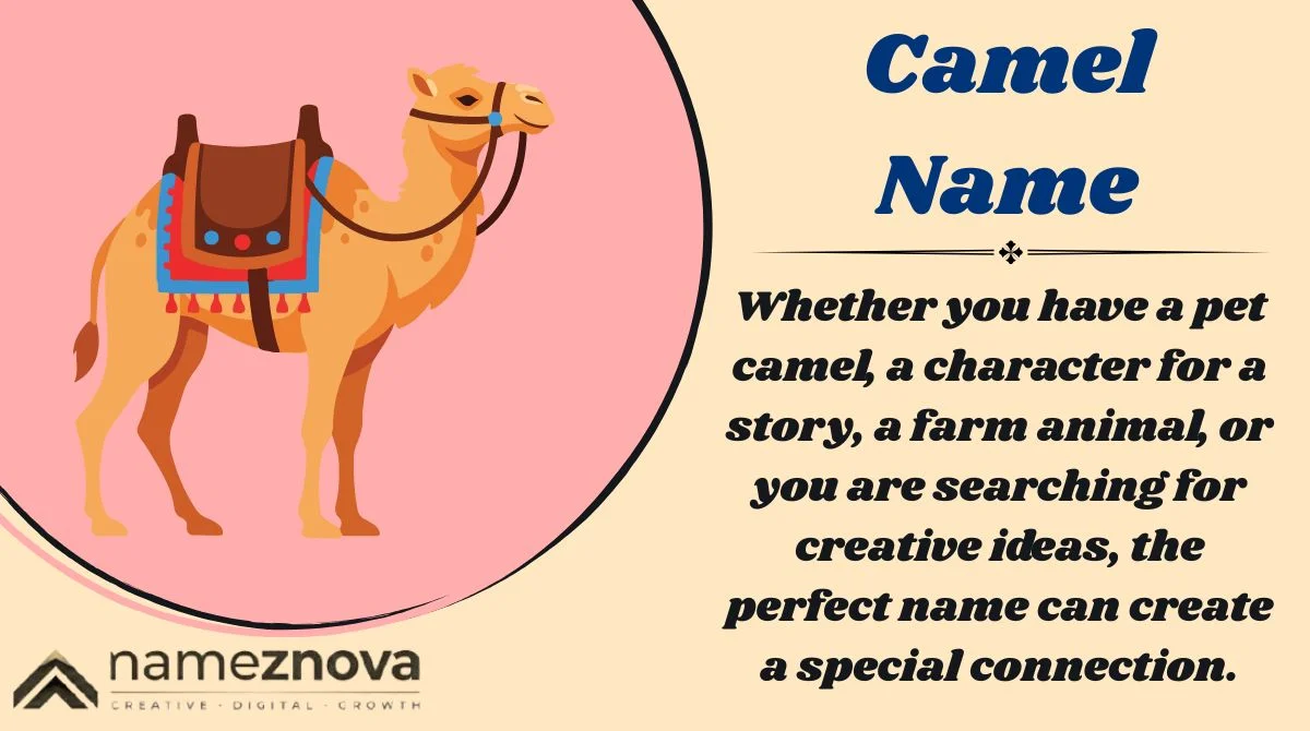 Camel Names