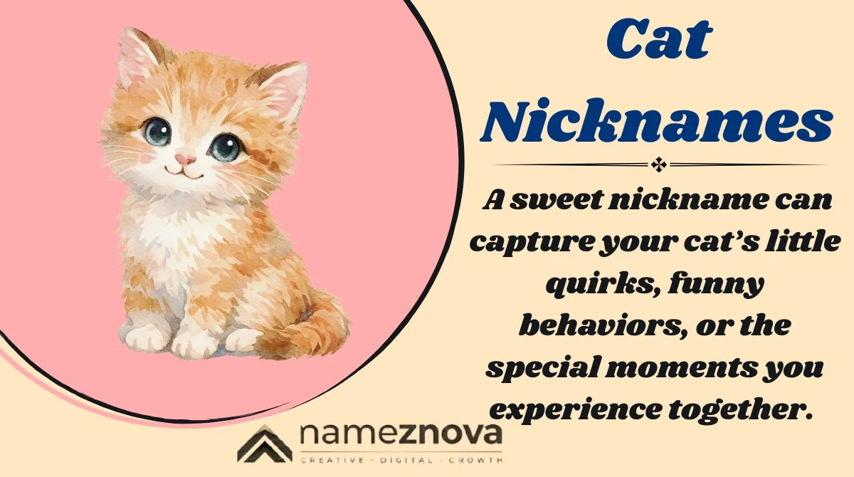 Cat Nicknames
