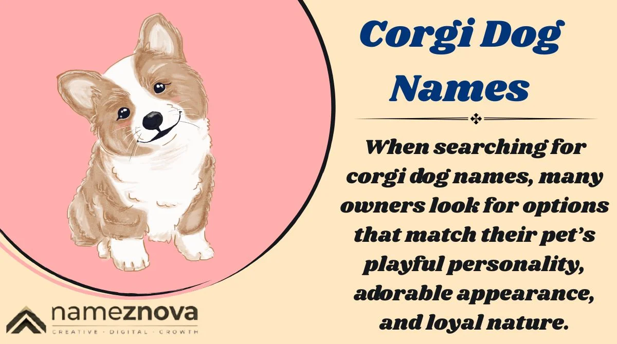 Corgi Dog Names