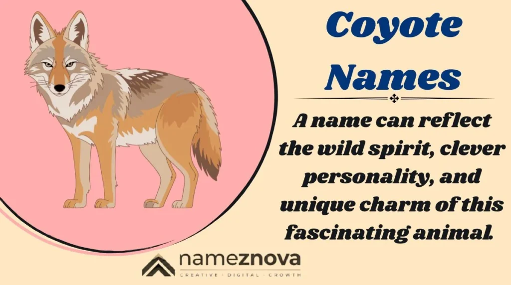 Coyote Names