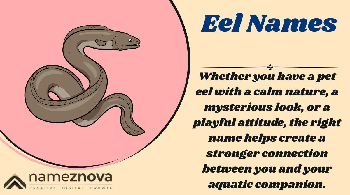 Eel Names