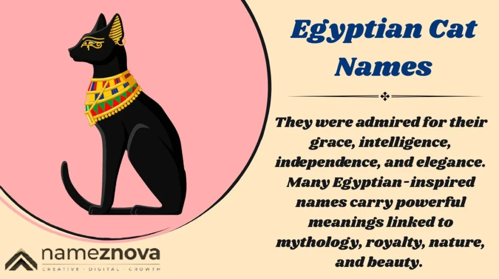 Egyptian Cat Names