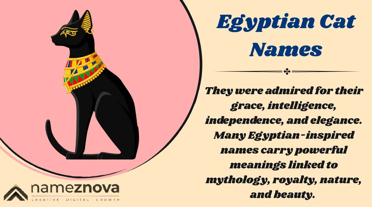 Egyptian Cat Names