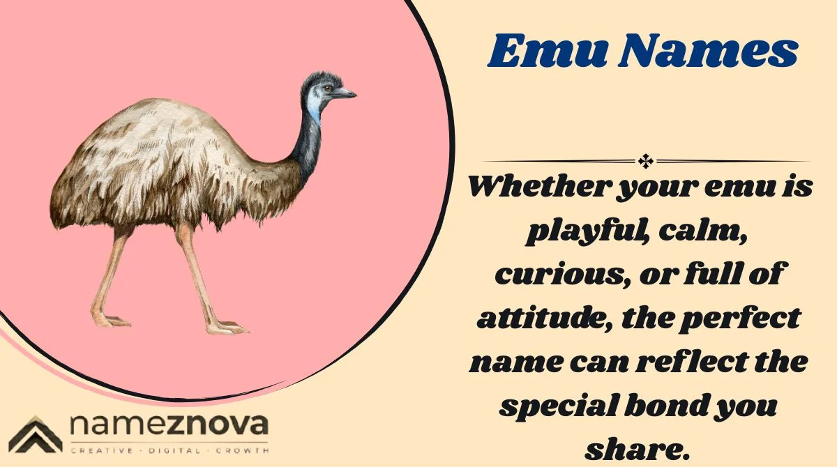 Emu Names