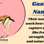 Gazelle Names