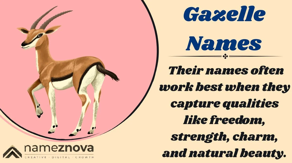 Gazelle Names