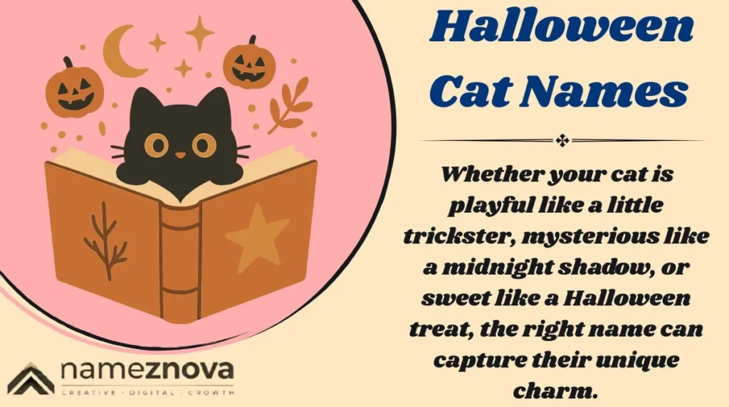 Halloween Cat Names