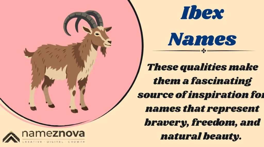 Ibex Names