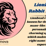 Lionhead Rabbit Names
