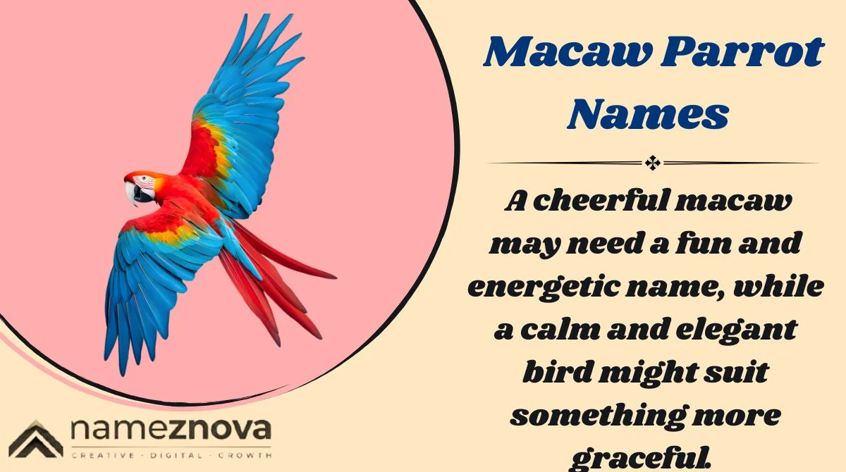 Macaw Parrot Names