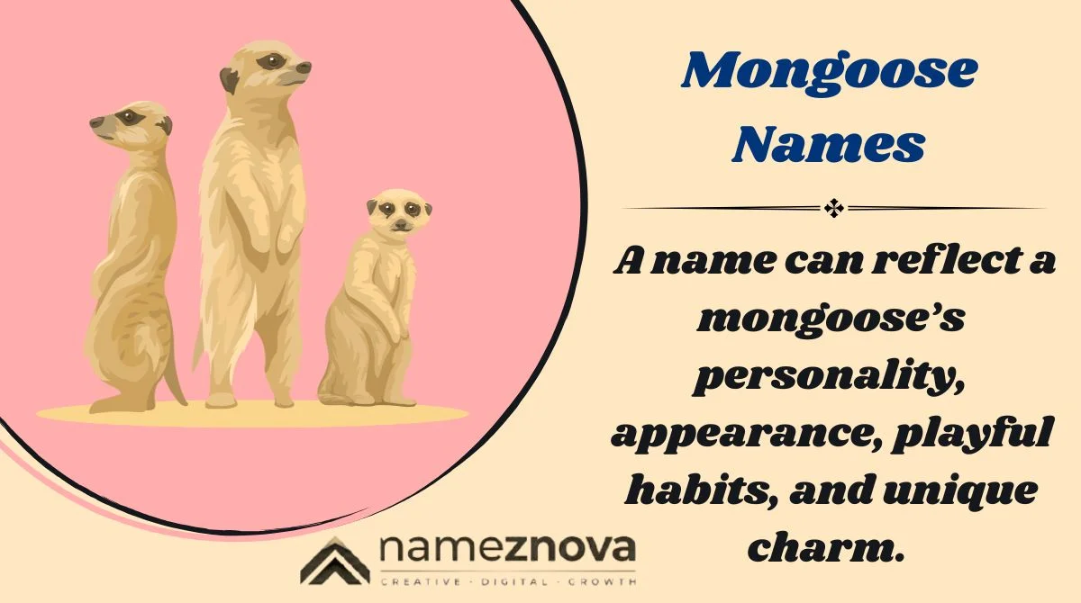 Mongoose Names