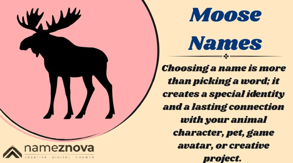 Moose Names