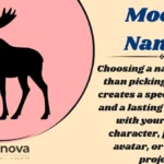 Moose Names
