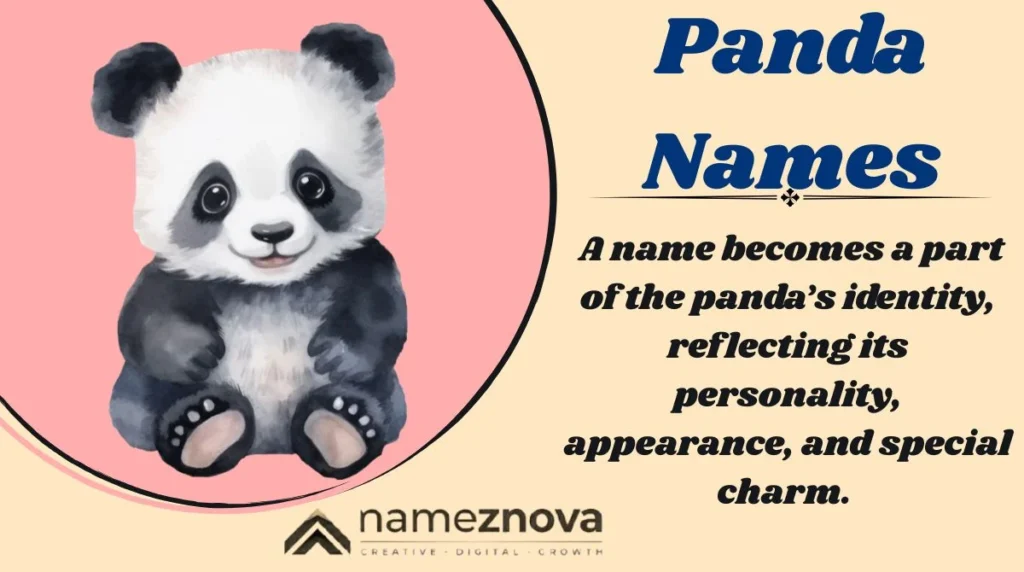 Panda Names
