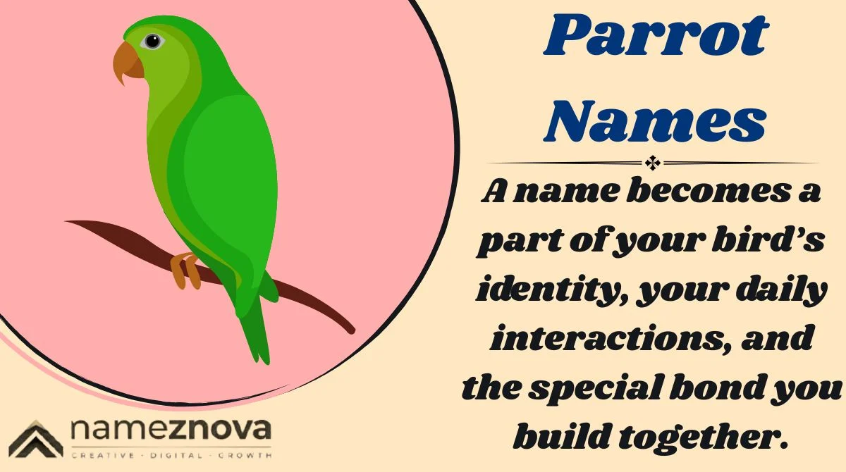 Parrot Names