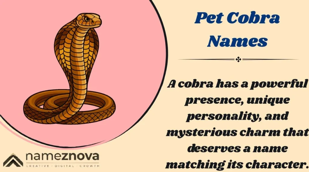 Pet Cobra Names