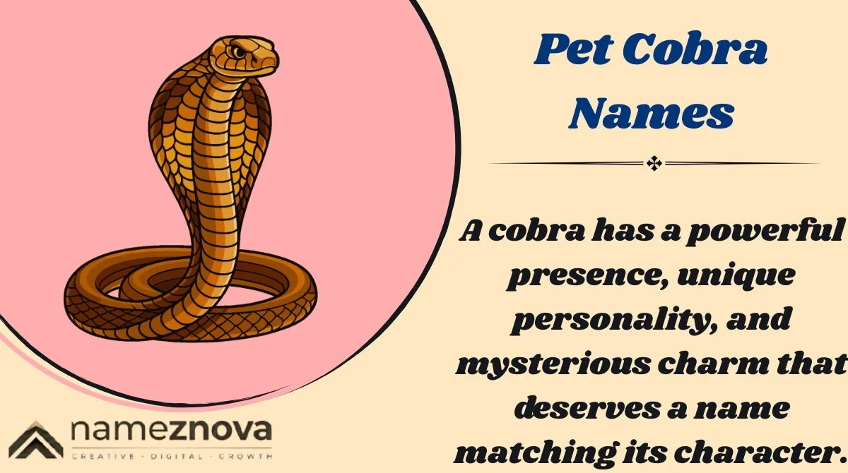 Pet Cobra Names
