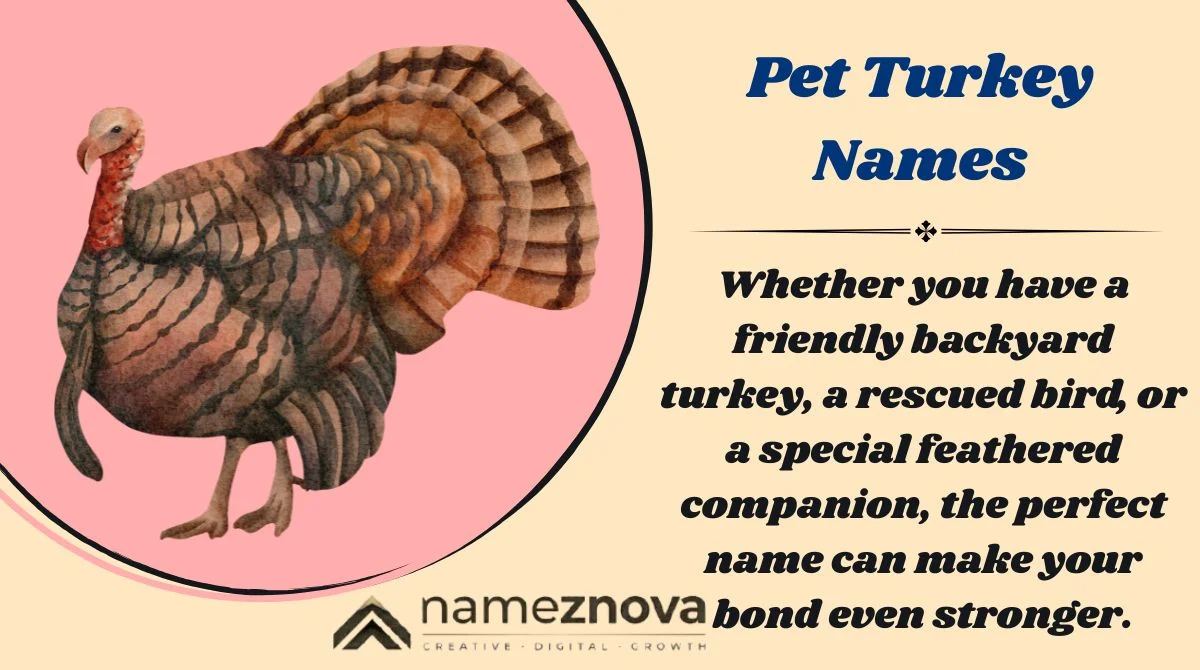 Pet Turkey Names