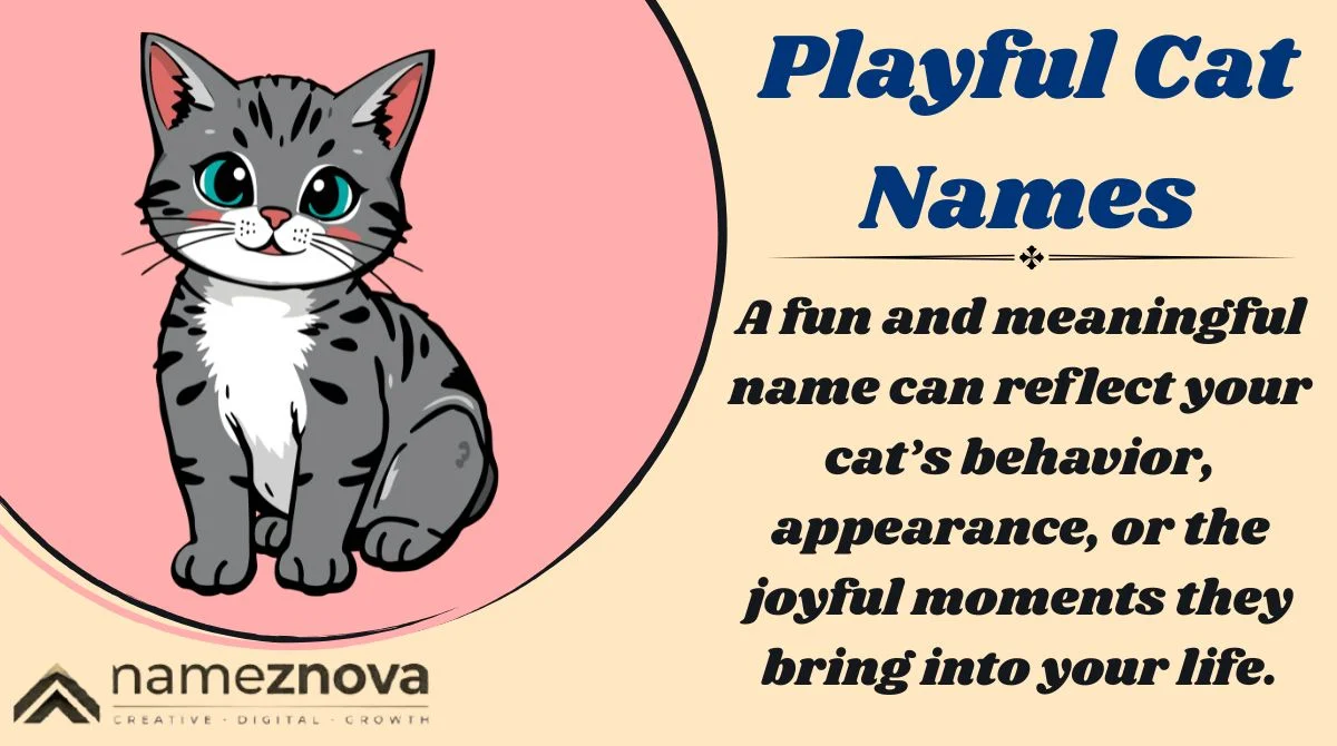 Playful Cat Names