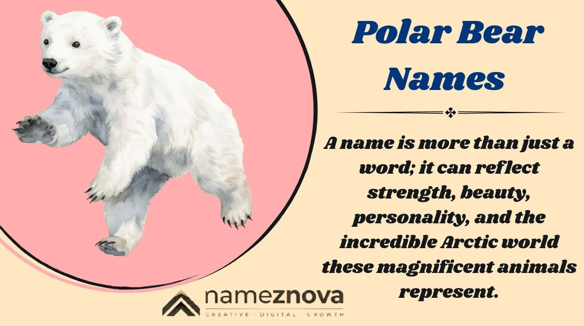 Polar Bear Names