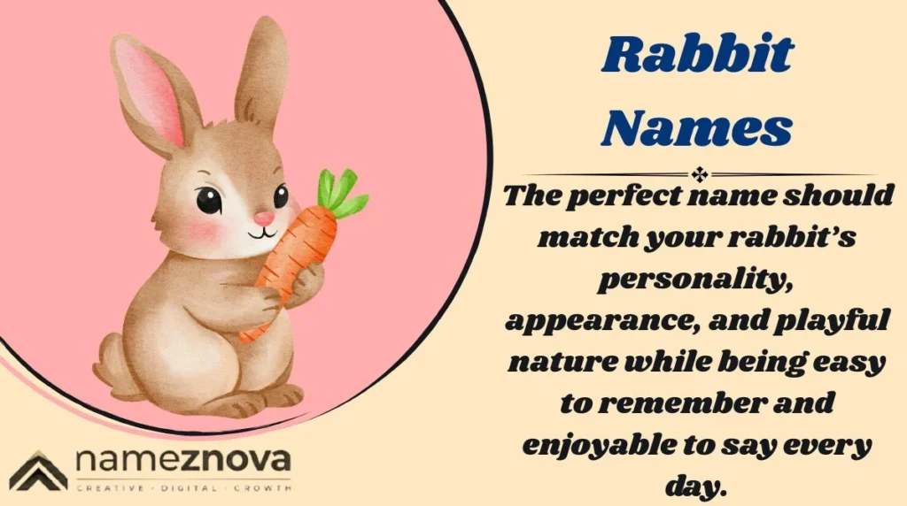 Rabbit Names