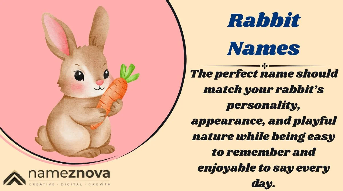 Rabbit Names