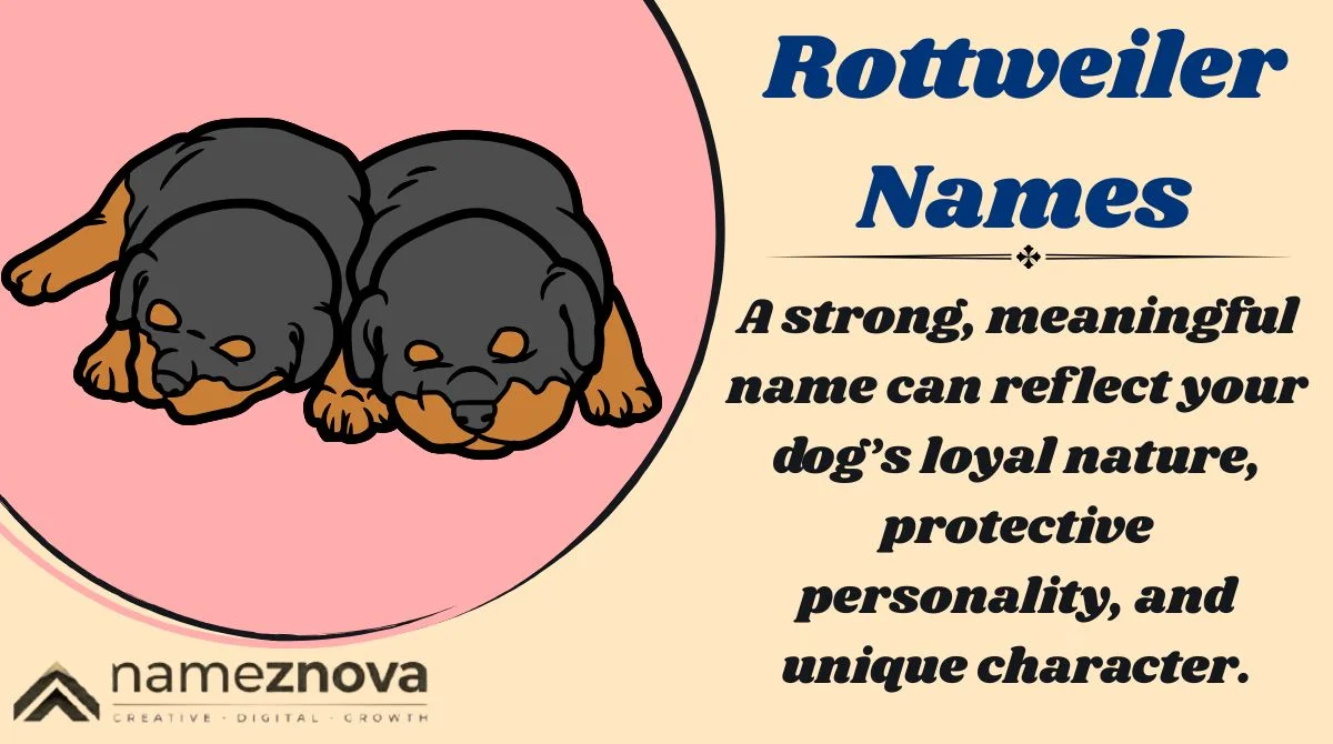 Rottweiler Names