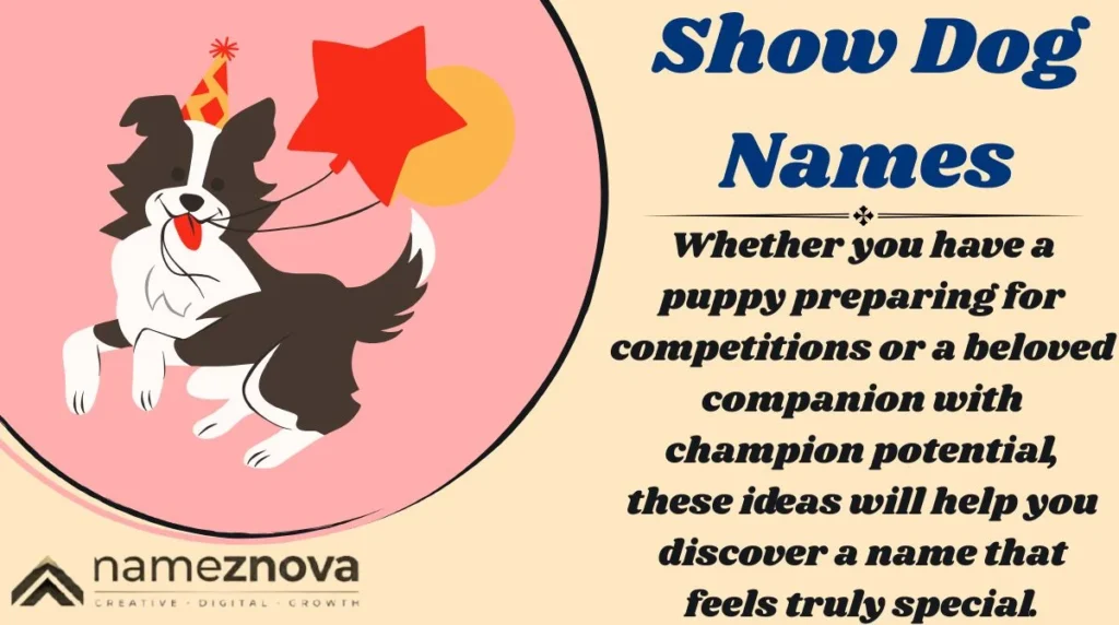 Show Dog Names