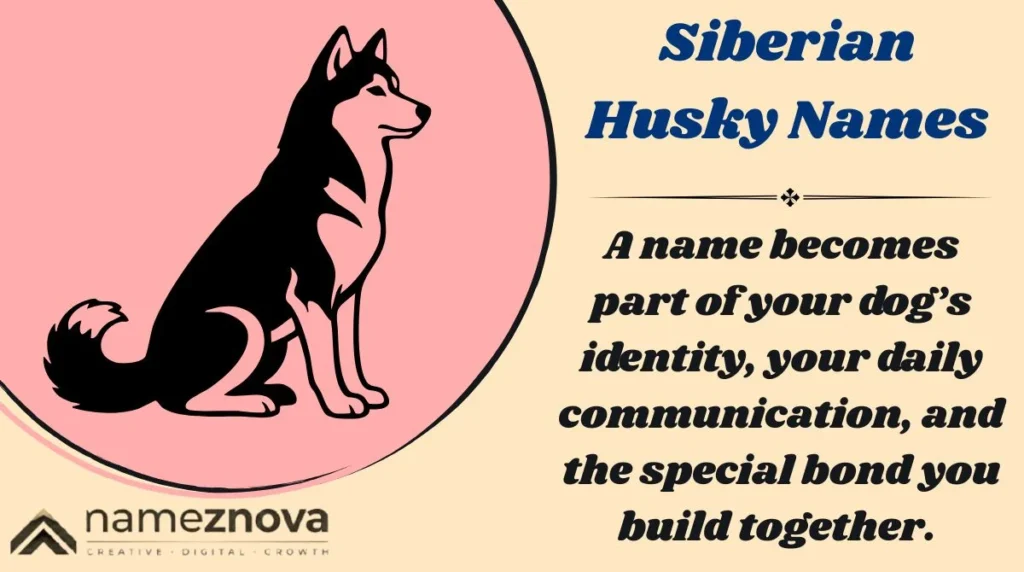Siberian Husky Names