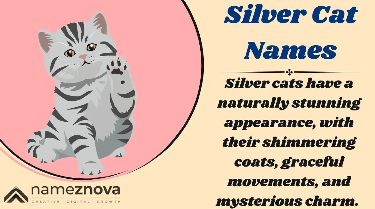 Silver Cat Names