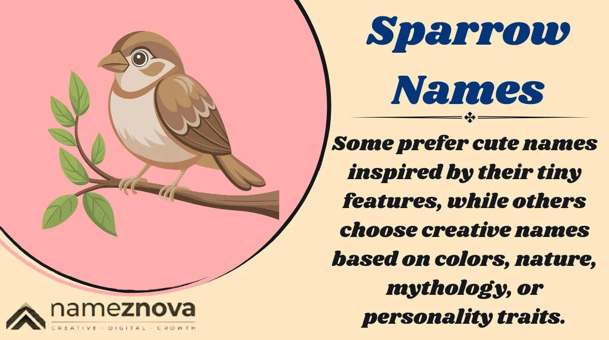 Sparrow Names