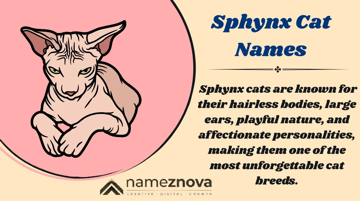 Sphynx Cat Names