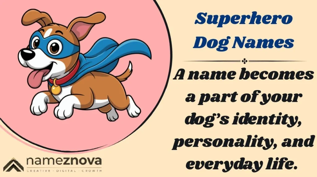 Superhero Dog Names