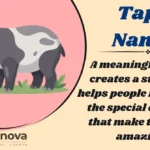 Tapir Names