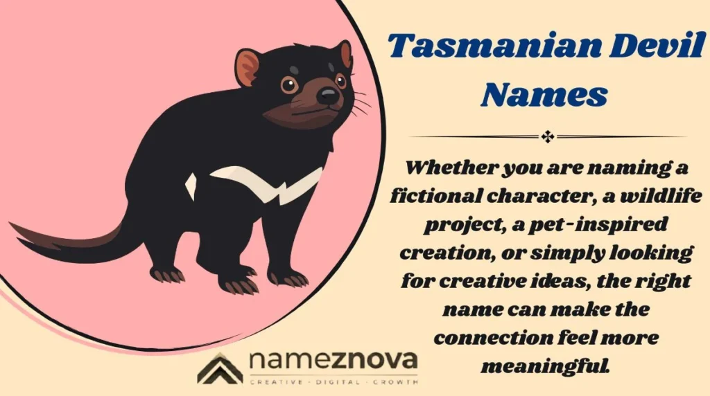 Tasmanian Devil Names