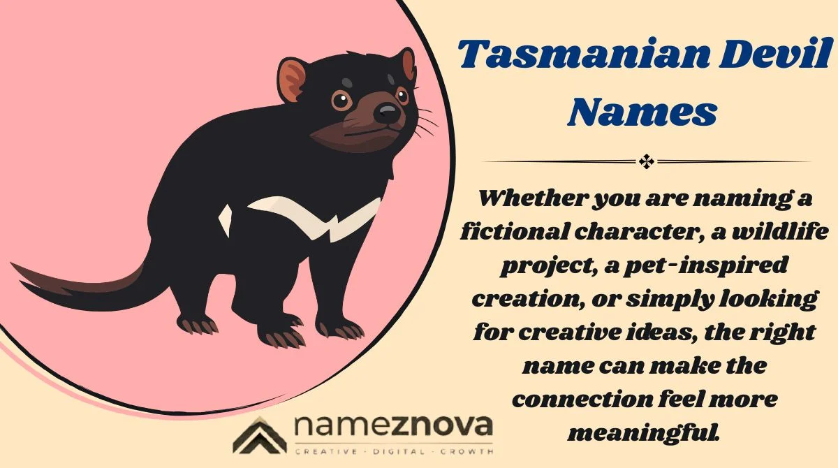 Tasmanian Devil Names