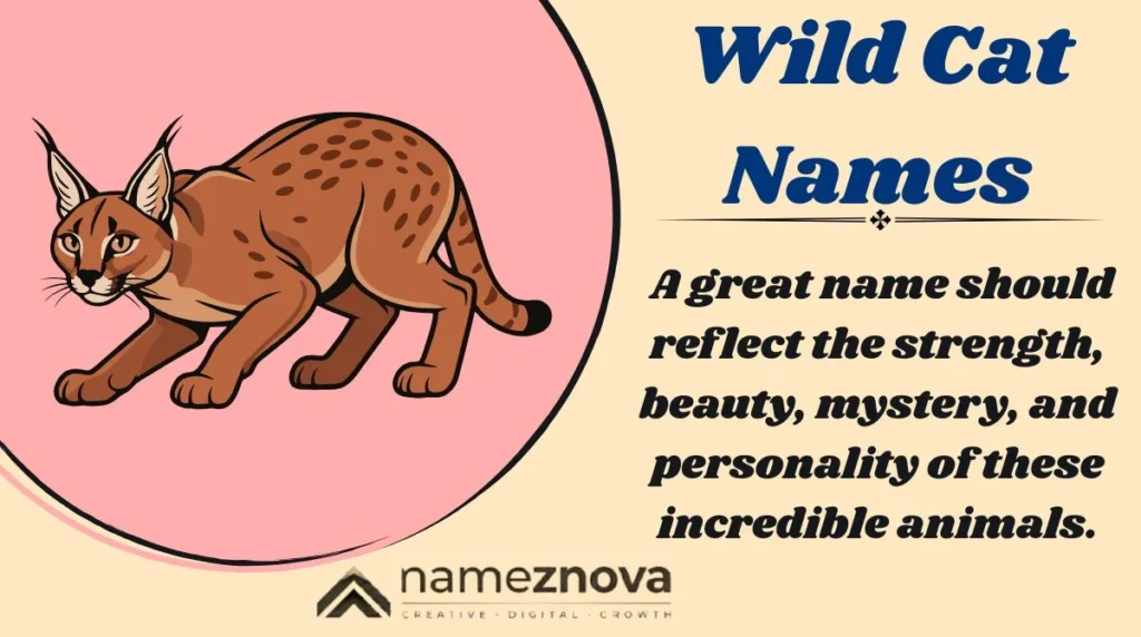 Wild Cat Names