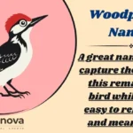 Woodpecker Names