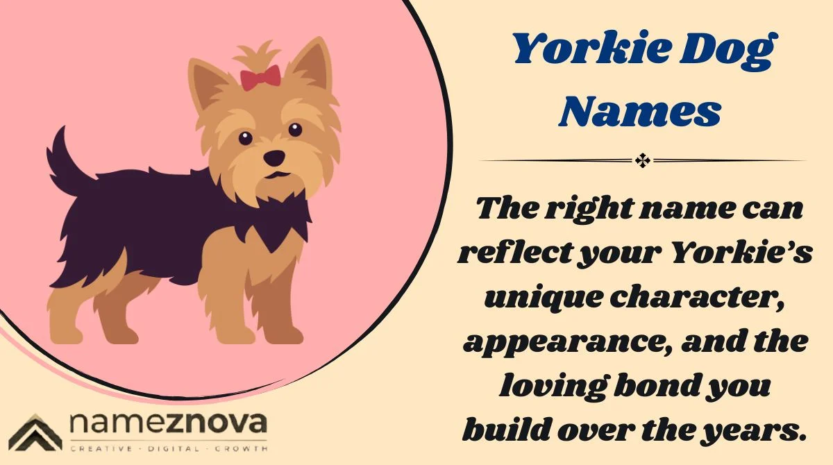 Yorkie Dog Names