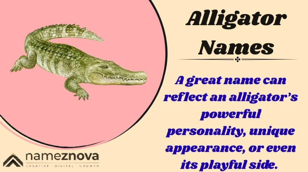 Alligator Names