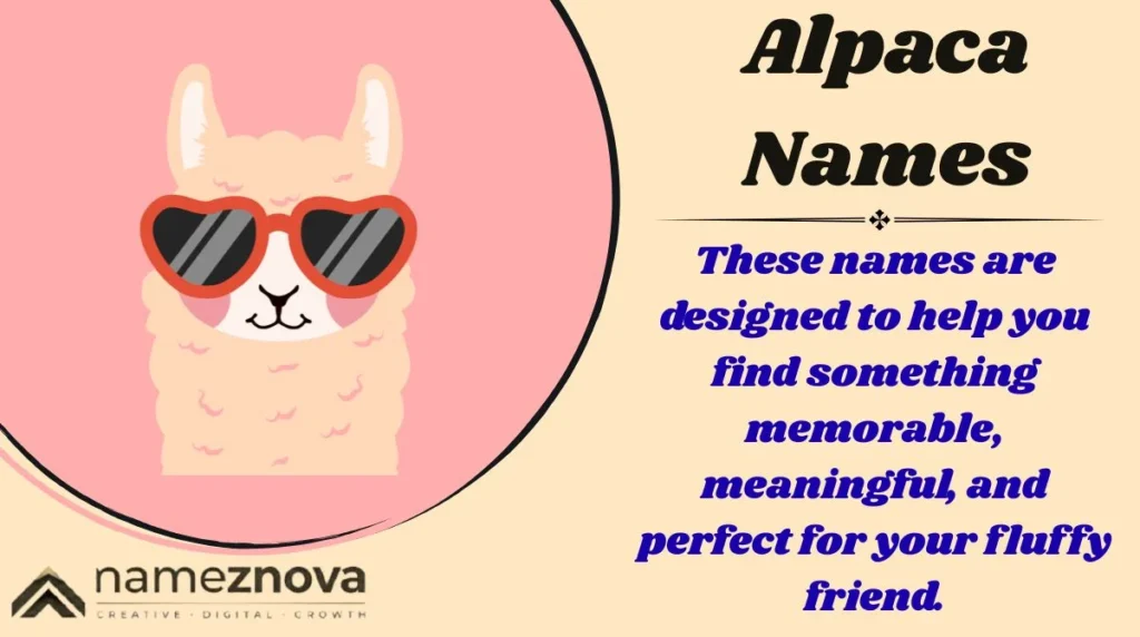 Alpaca Names